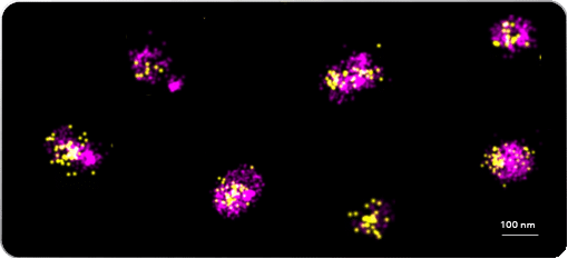 Live from the Lab - LNP Imaging | ONI