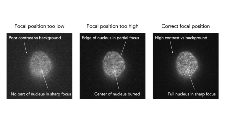 focal point position
